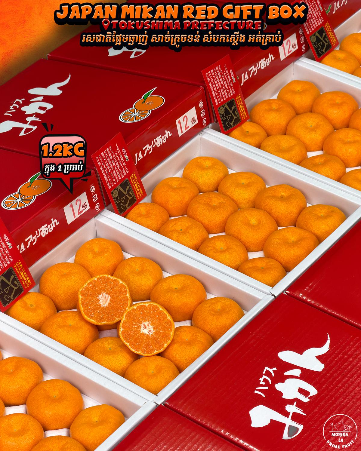 Japan Mikan House Red Gift Box 1.2kg