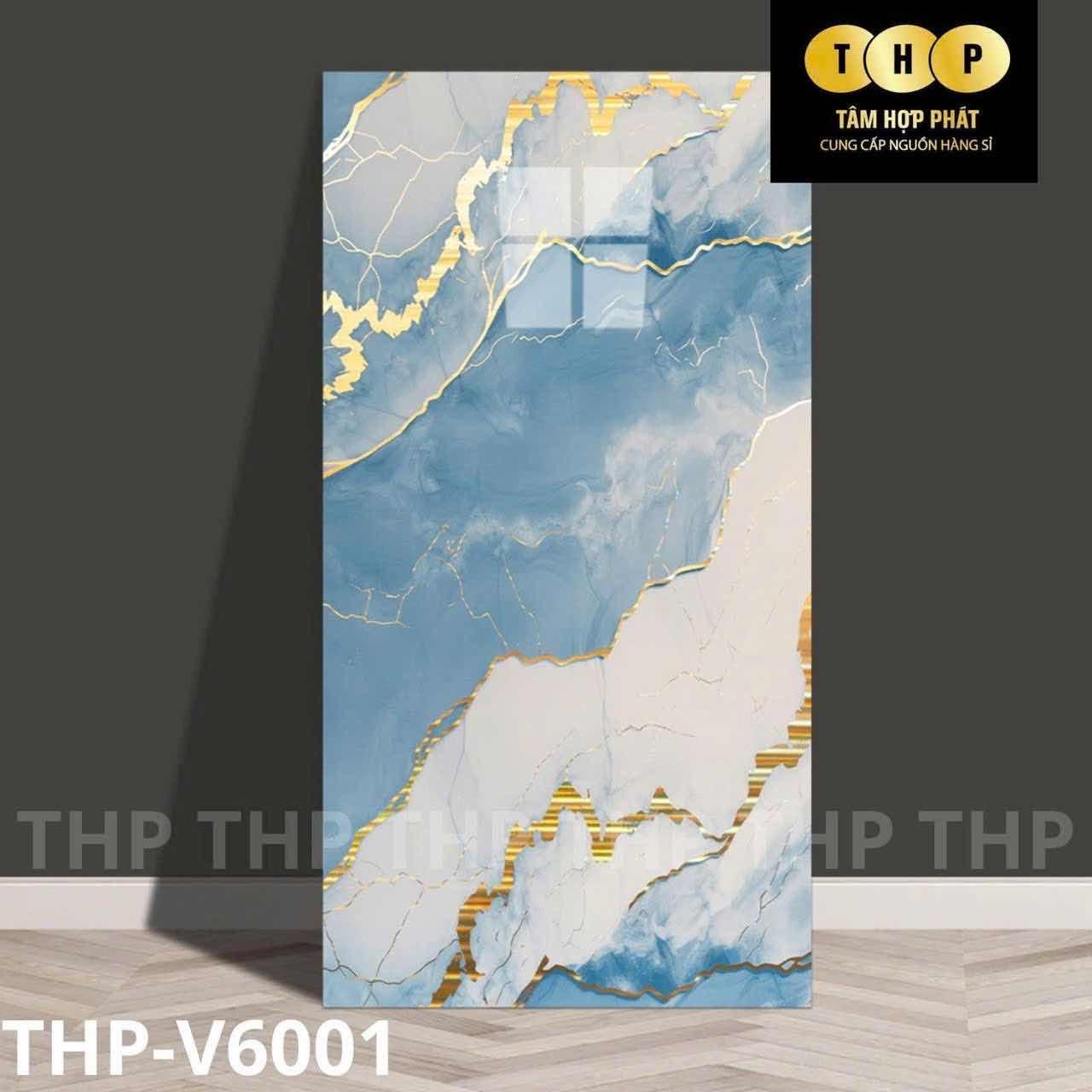 V6001