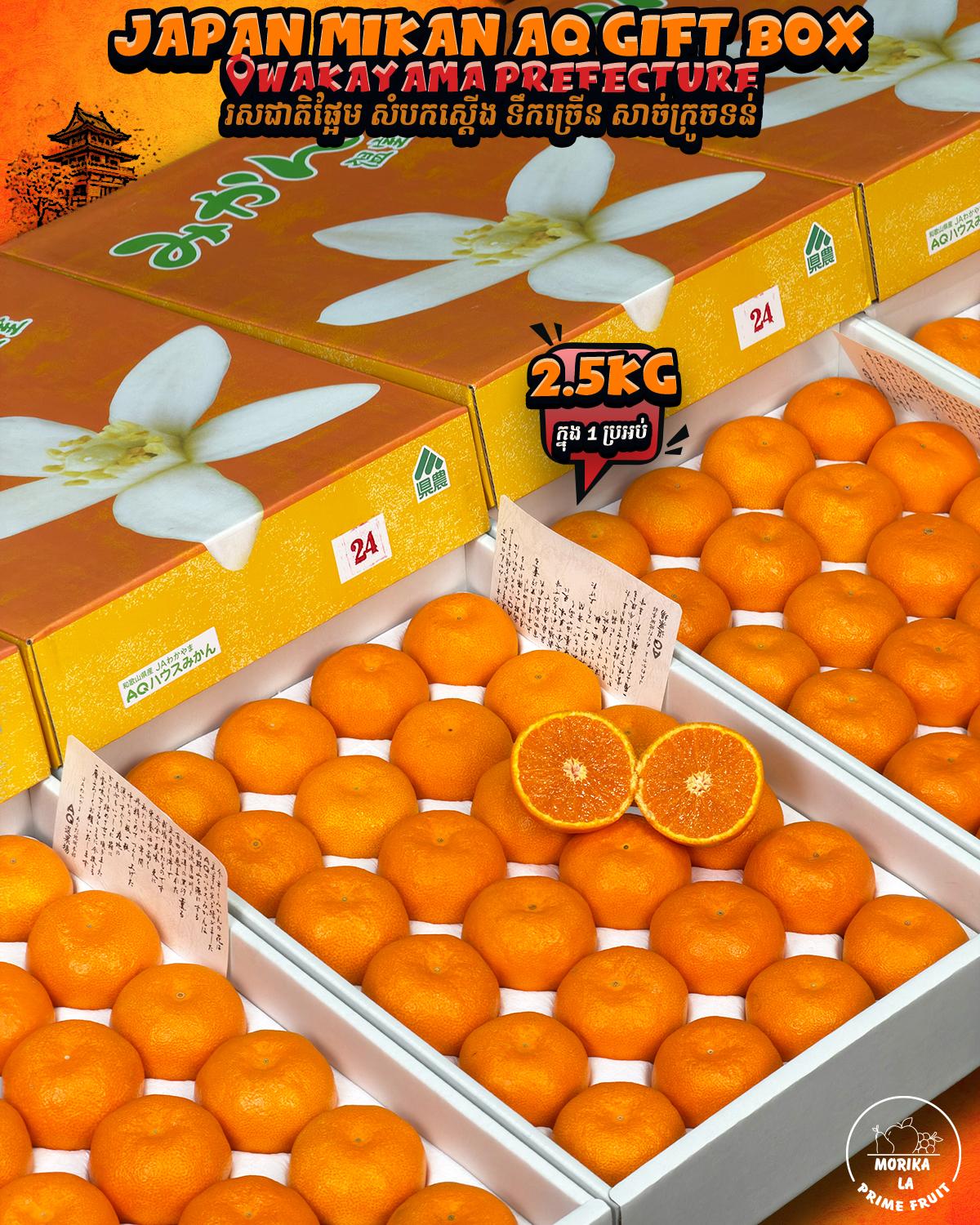 Japan Mikan AQ 2.5kg Gift Box