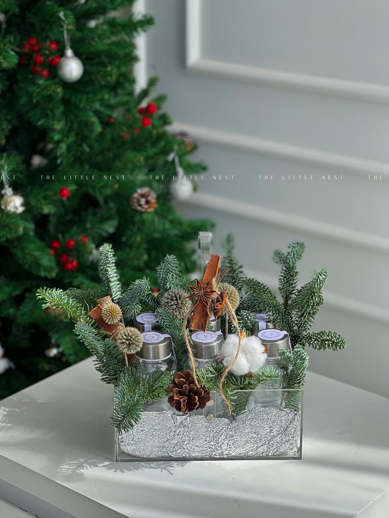 WINTER GRACE