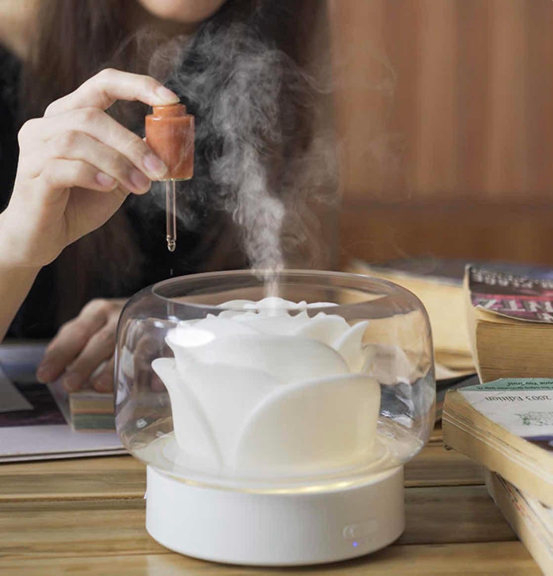 WX105 Rose Aroma Diffuser