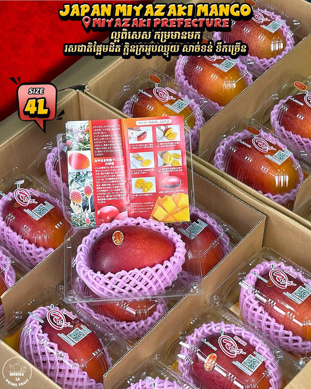 Japan Miyazaki Mango 4L Pack 🥭 
