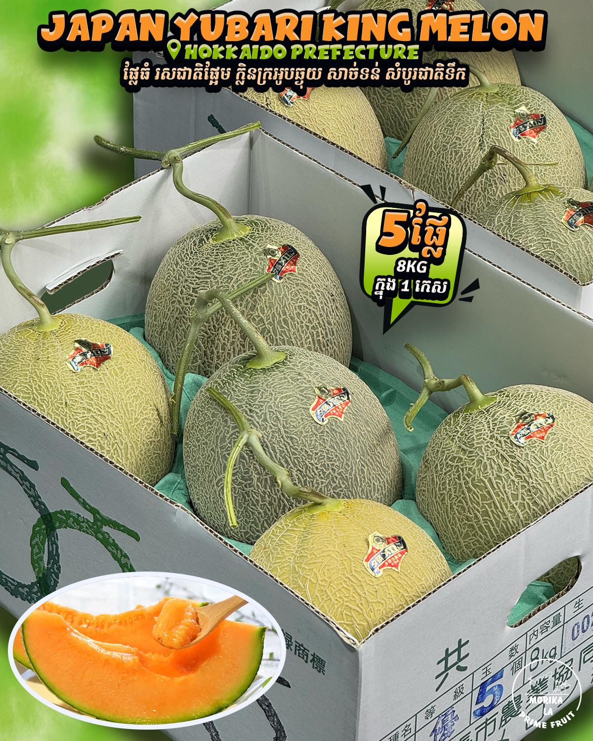 Japan Kochi Red Flesh Melon #5🍈 