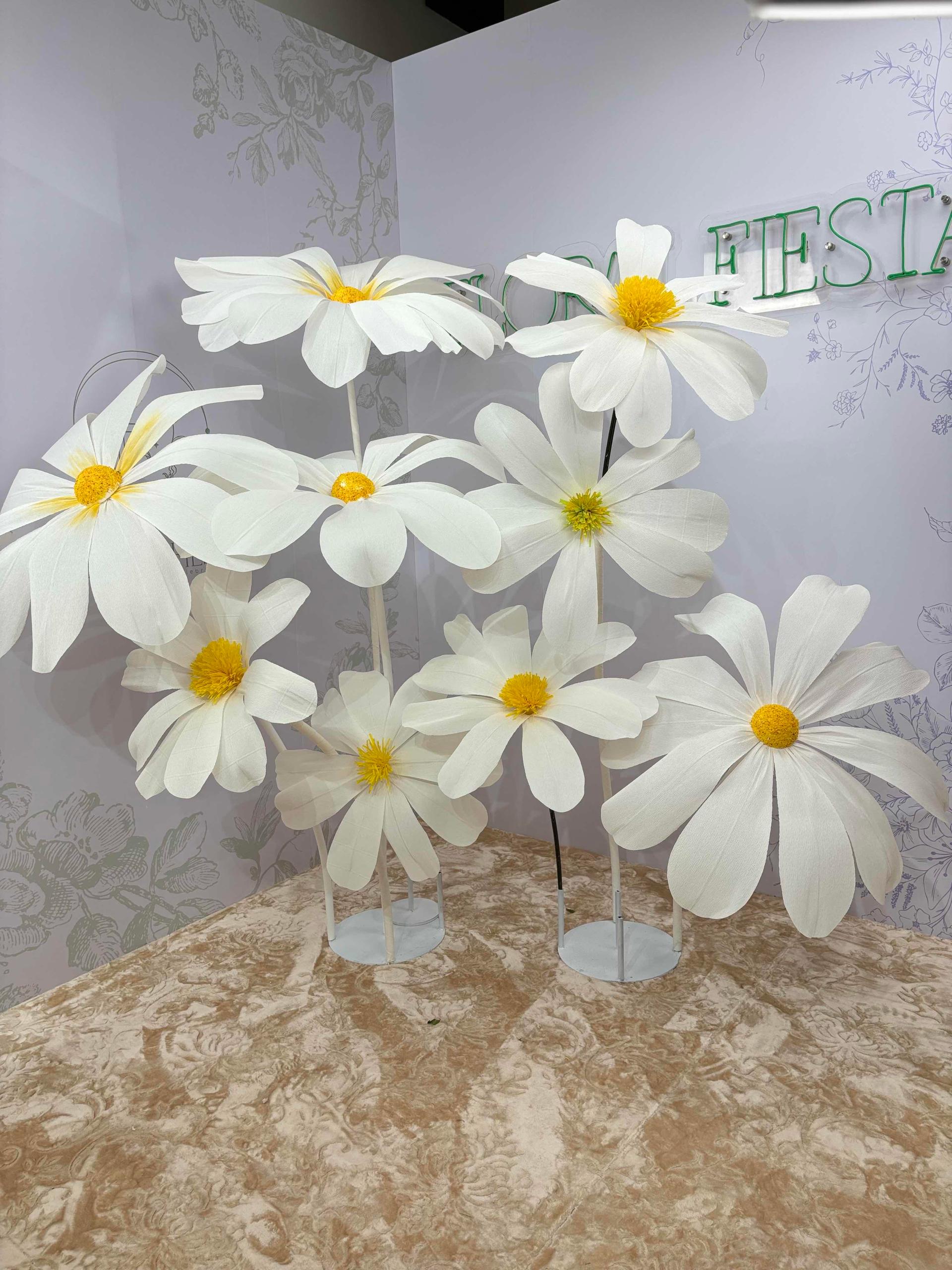 ឈុតផ្កា Daisy 9ផ្កា