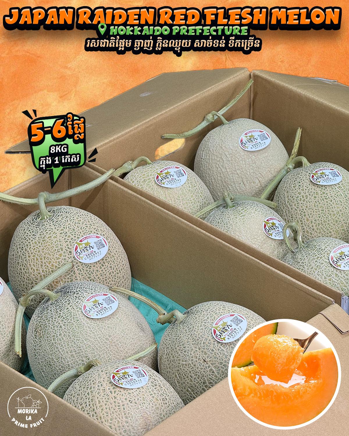 Japan Raiden Red Flesh Melon #5🍈 