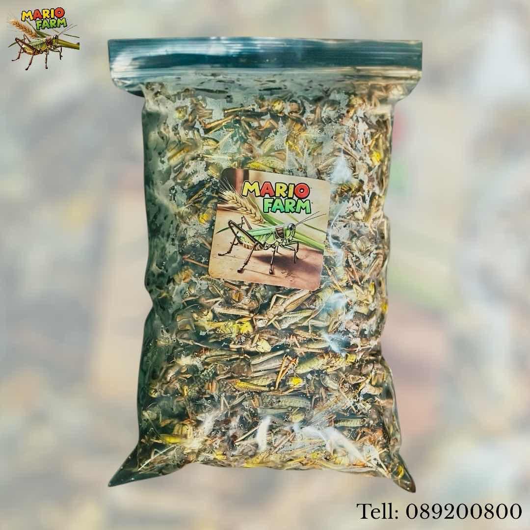 កណ្តូបខ្មែរ100%​ ពង60%