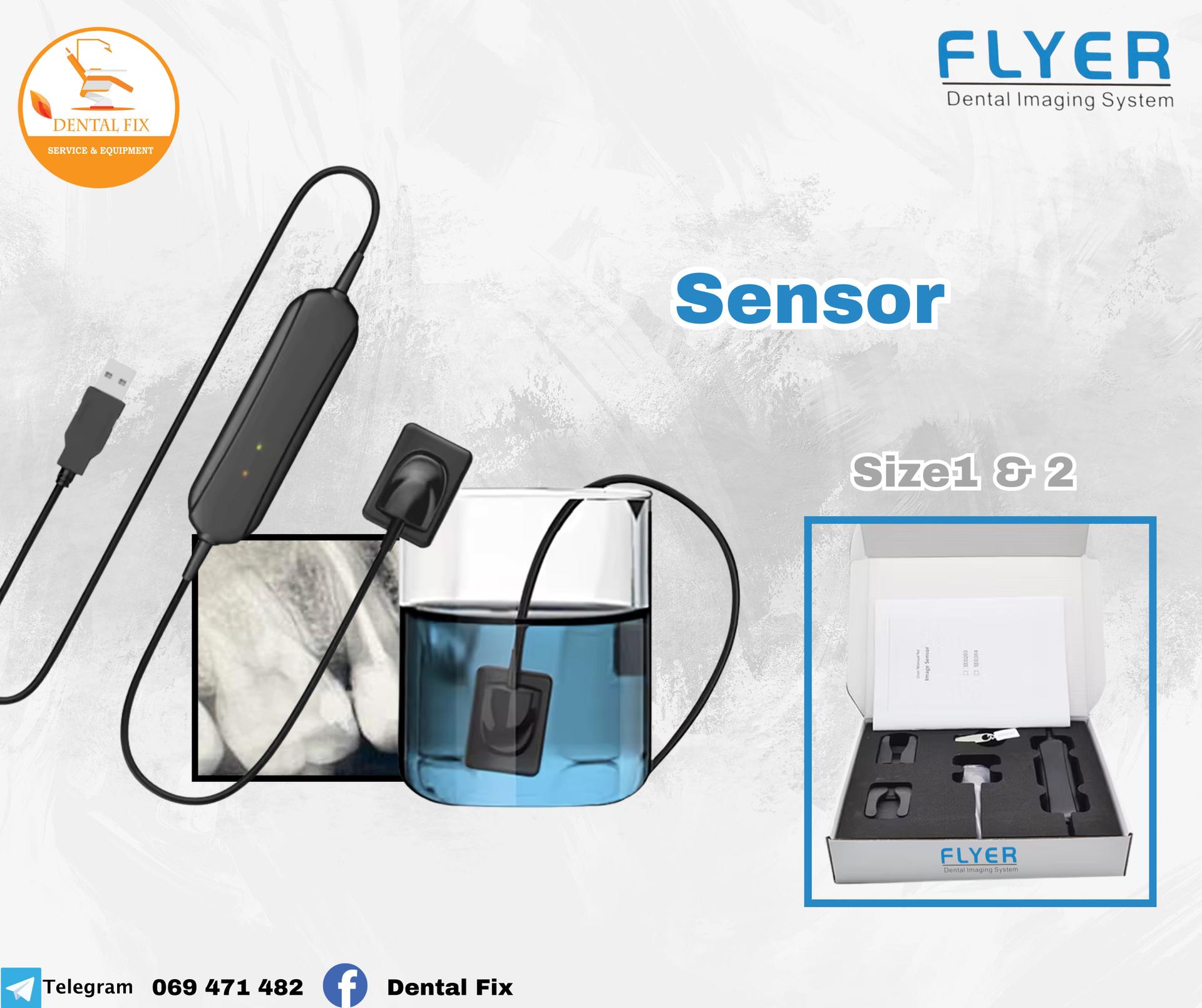 Sensor Flyer