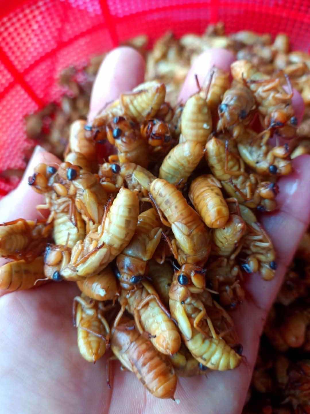 រៃធម្មជាតិ​