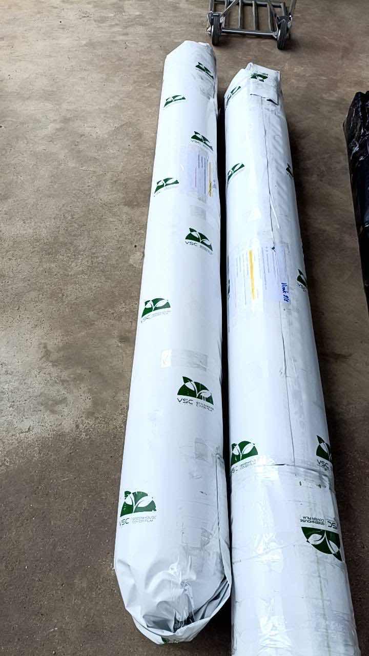 កៅស៊ូយូវី UV