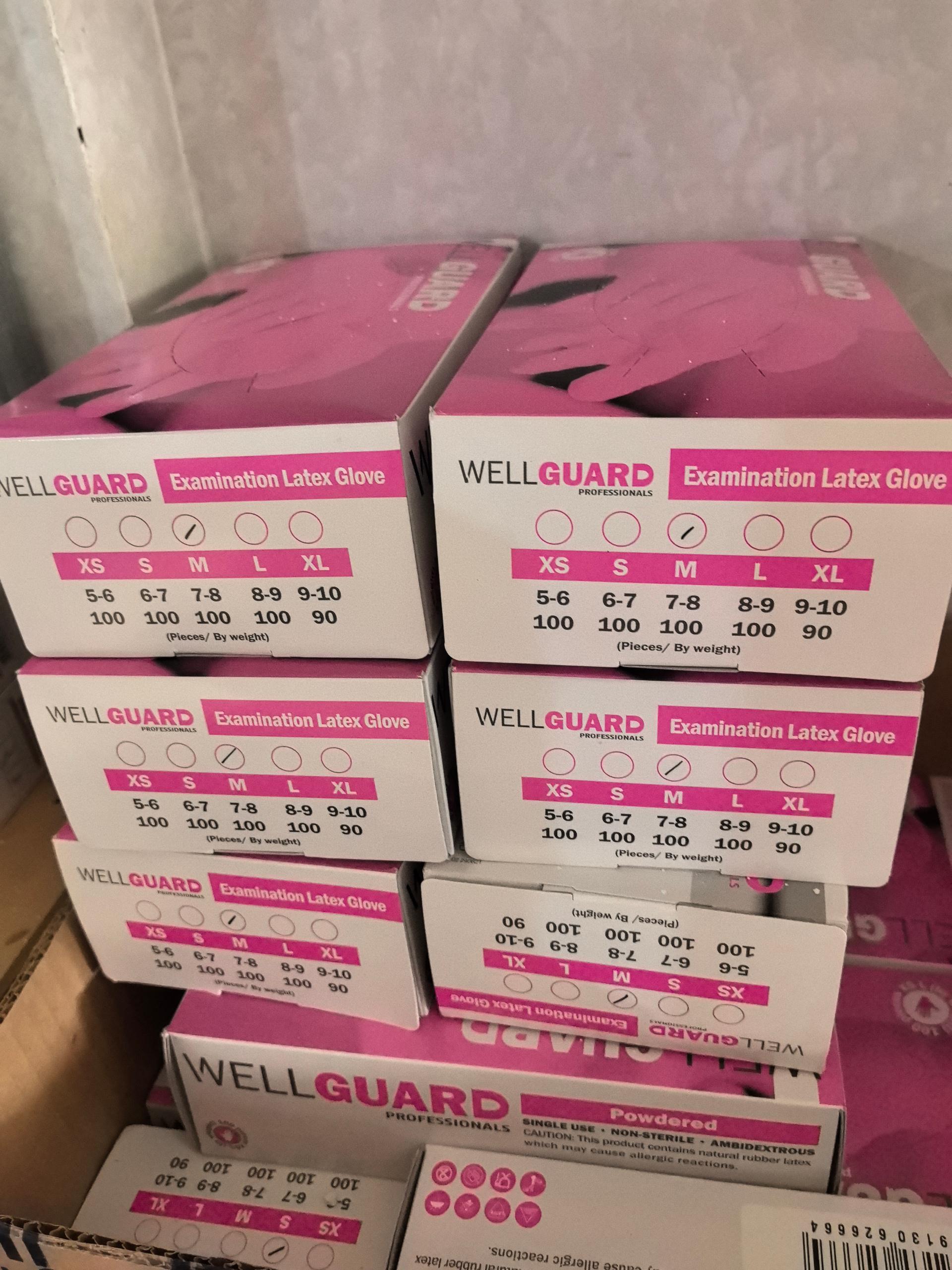 Wellguard M Latex Glove 100pcs