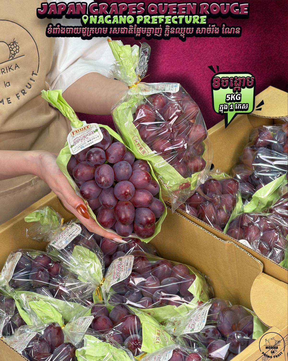 Japan Grapes Queen Rouge #8