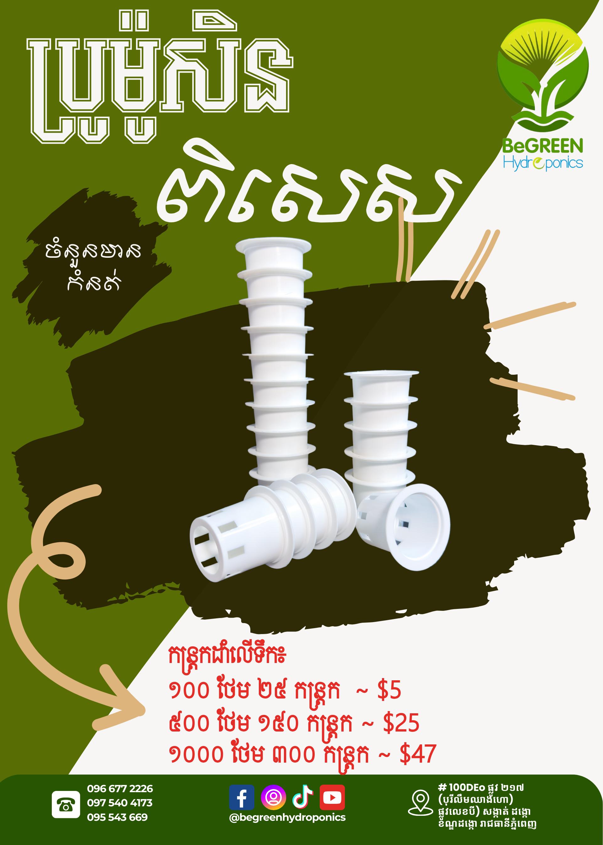 កន្ត្រកដាំស ដាំលេីទឹក